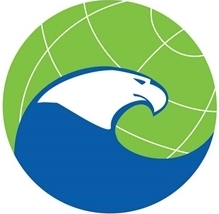 CNA Military Advisory Board Logo