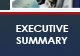executive summary button