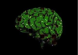 A green brain